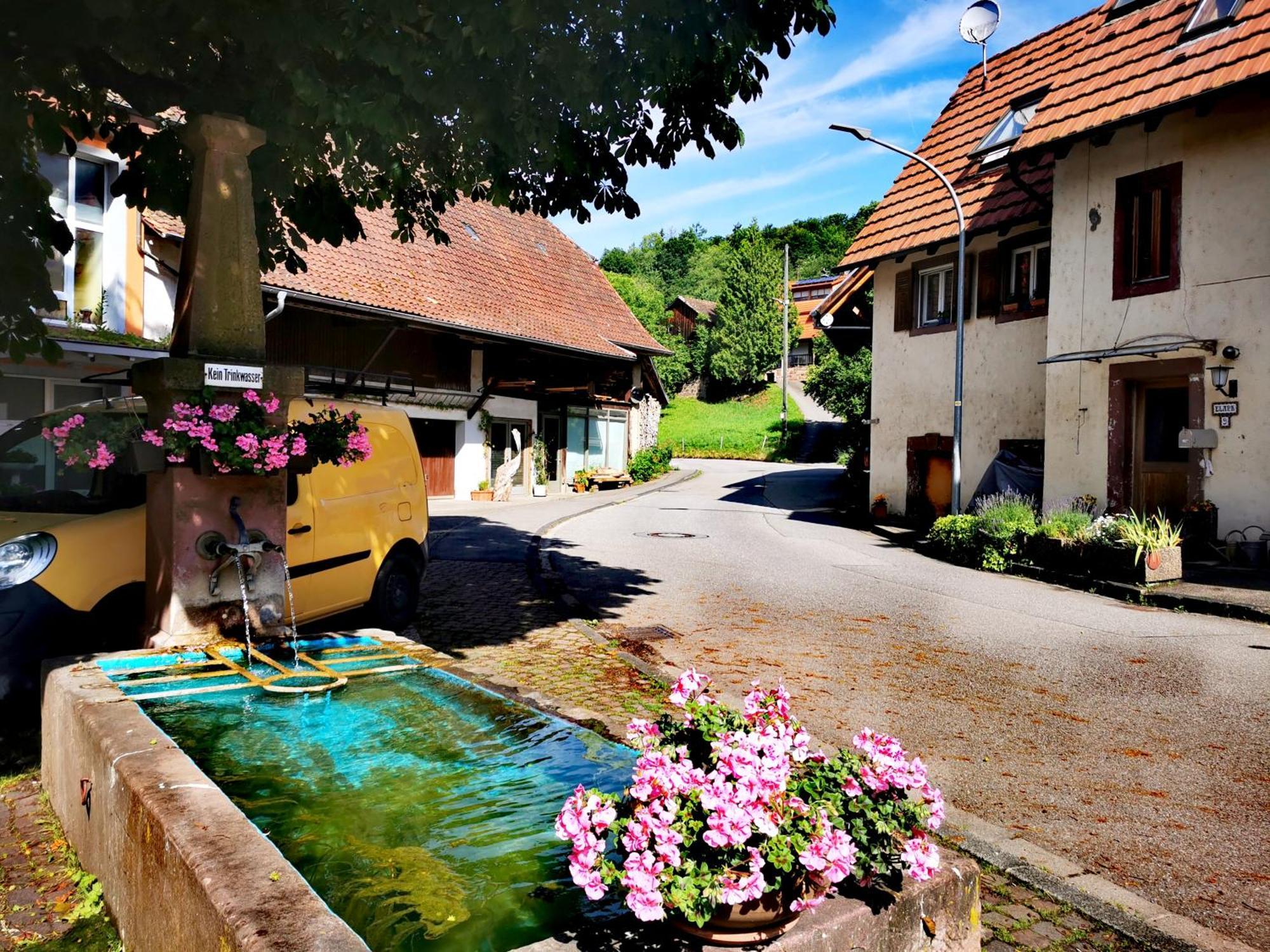 Alpenpanorama Haegelberg Apartman Steinen  Kültér fotó